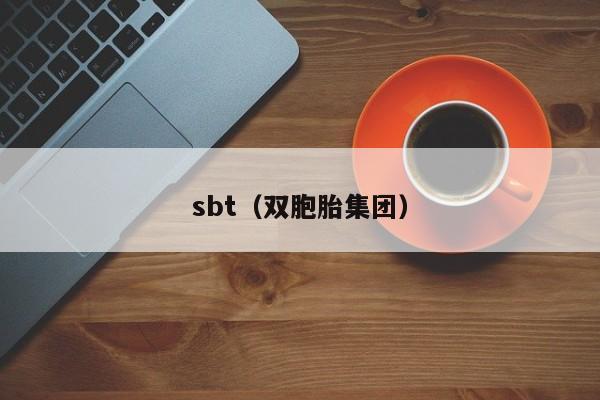 sbt(双胞胎集团)