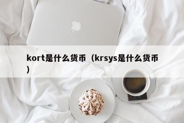 kort是什么货币(krsys是什么货币)