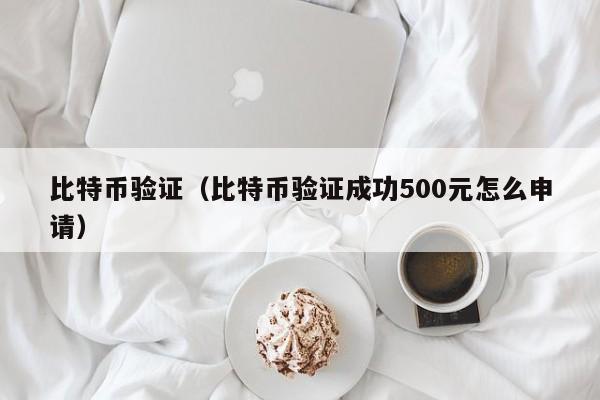 比特币验证(比特币验证成功500元怎么申请)