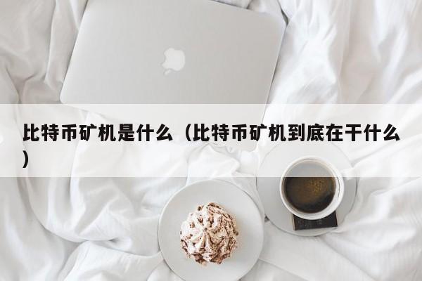 比特币矿机是什么(比特币矿机到底在干什么)