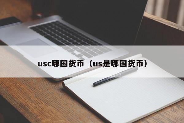 usc哪国货币(us是哪国货币)