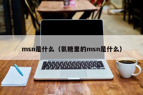 msn是什么(氨糖里的msn是什么)