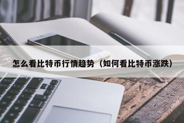 怎么看比特币行情趋势(如何看比特币涨跌)