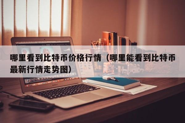 哪里看到比特币价格行情(哪里能看到比特币最新行情走势图)