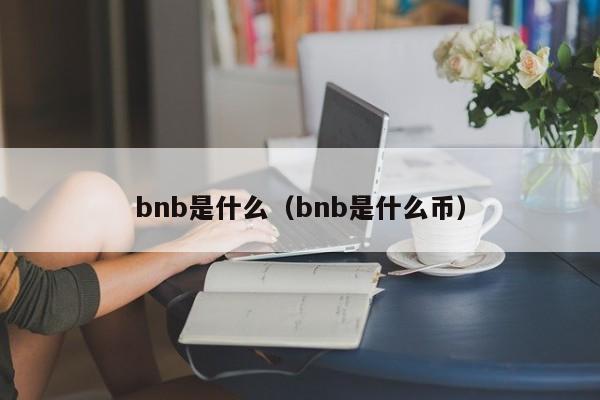 bnb是什么(bnb是什么币)