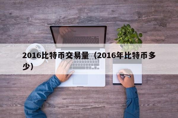 2016比特币交易量(2016年比特币多少)