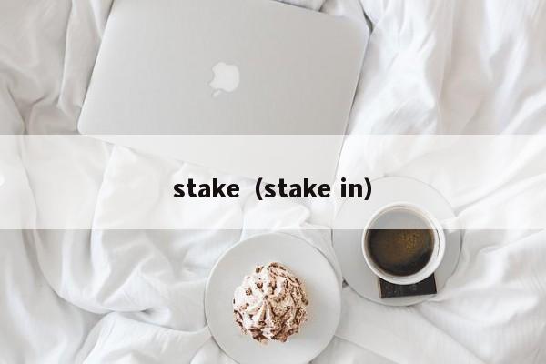 stake(stake in)