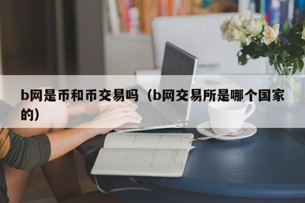 b网是币和币交易吗(b网交易所是哪个国家的)
